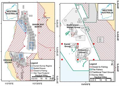 Recovery trajectories and management responses for three scallop stocks over ten years following an extreme marine heatwave in Western Australia